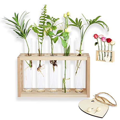 Wood Base Simple 3Pcs Tubes Flower Vase Hydroponic Terrarium Desk Ornaments 