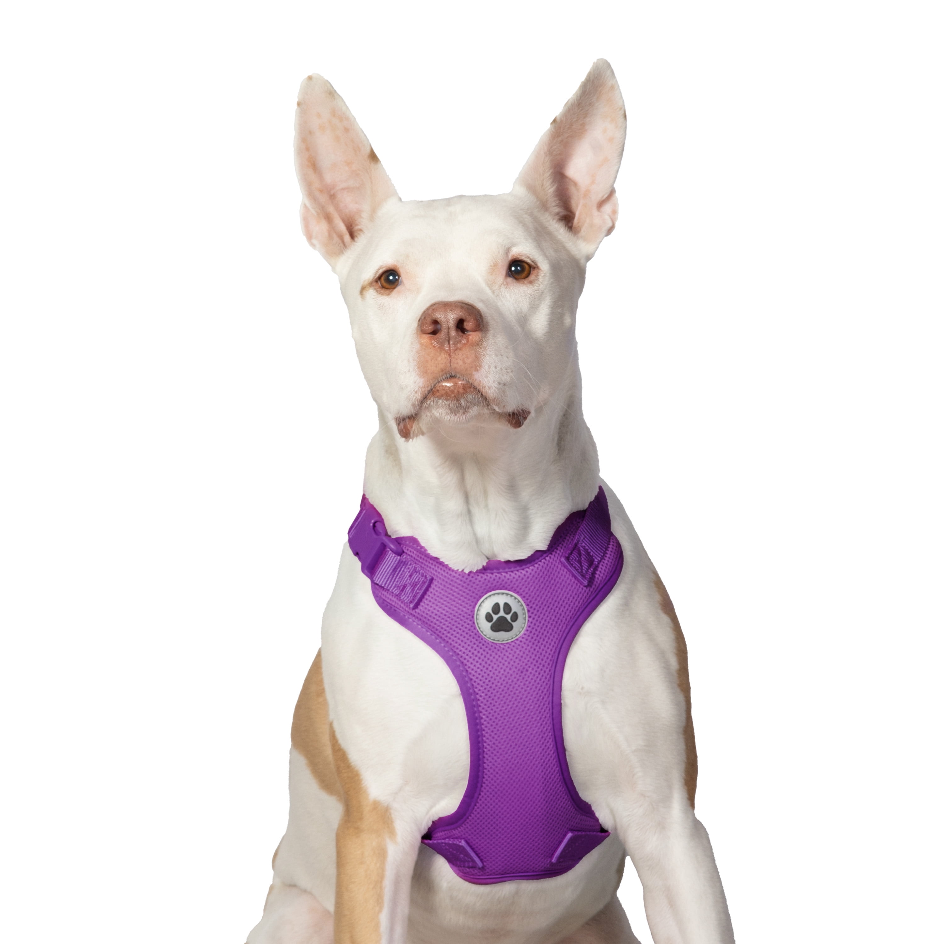 Vibrant Life Polyester Mesh Adjustable and Reflective Dog Walking Harness, Purple, L