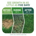 thumbnail image 4 of Pennington Smart Patch Tall Fescue Grass Seed Mix, for Sun to Partial Shade, 5 lb., 4 of 14