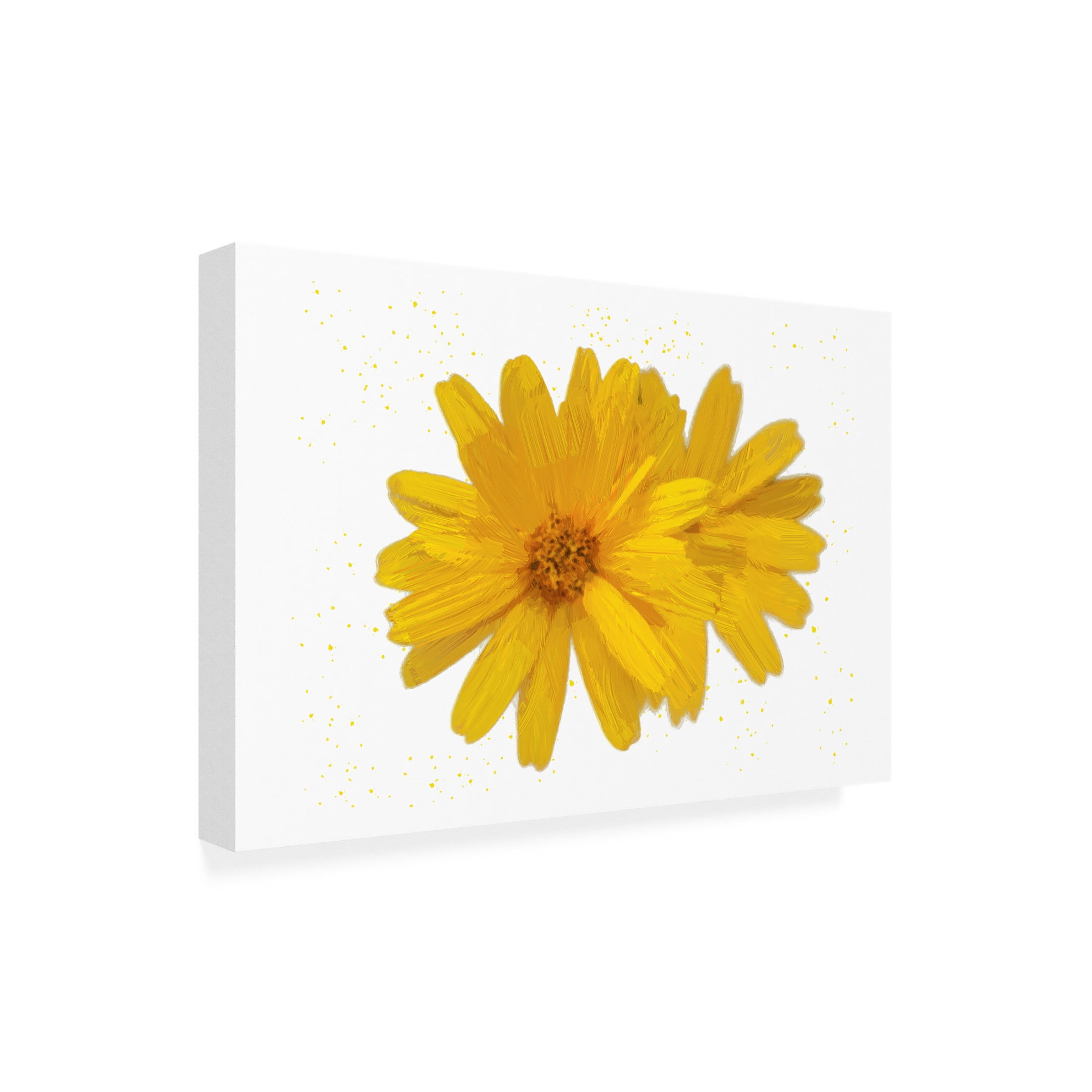 Canvas Wall Art - Jeff Pica 'Yellow Asters' Wall Art for Living Room, Bedroom, or Office Décor by Trademark Fine Art - 24 x 16 Inches