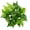 6, variant on Clear Texture Artificial Leaf Fadeless Plastic Floral Arrangement Simulation Plant Home Decor