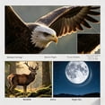 thumbnail image 6 of JINTU 420-1600mm f8.3 Manual Telephoto Zoom Lens for Canon EOS 70D, 80D, 90D, Rebel T3, T3i, T5, T5i, T6i, T6s, T7, T7I, T8I, SL3, EOS 5D, EOS5D IV, 6D II, 7D II SLR Cameras, 6 of 10