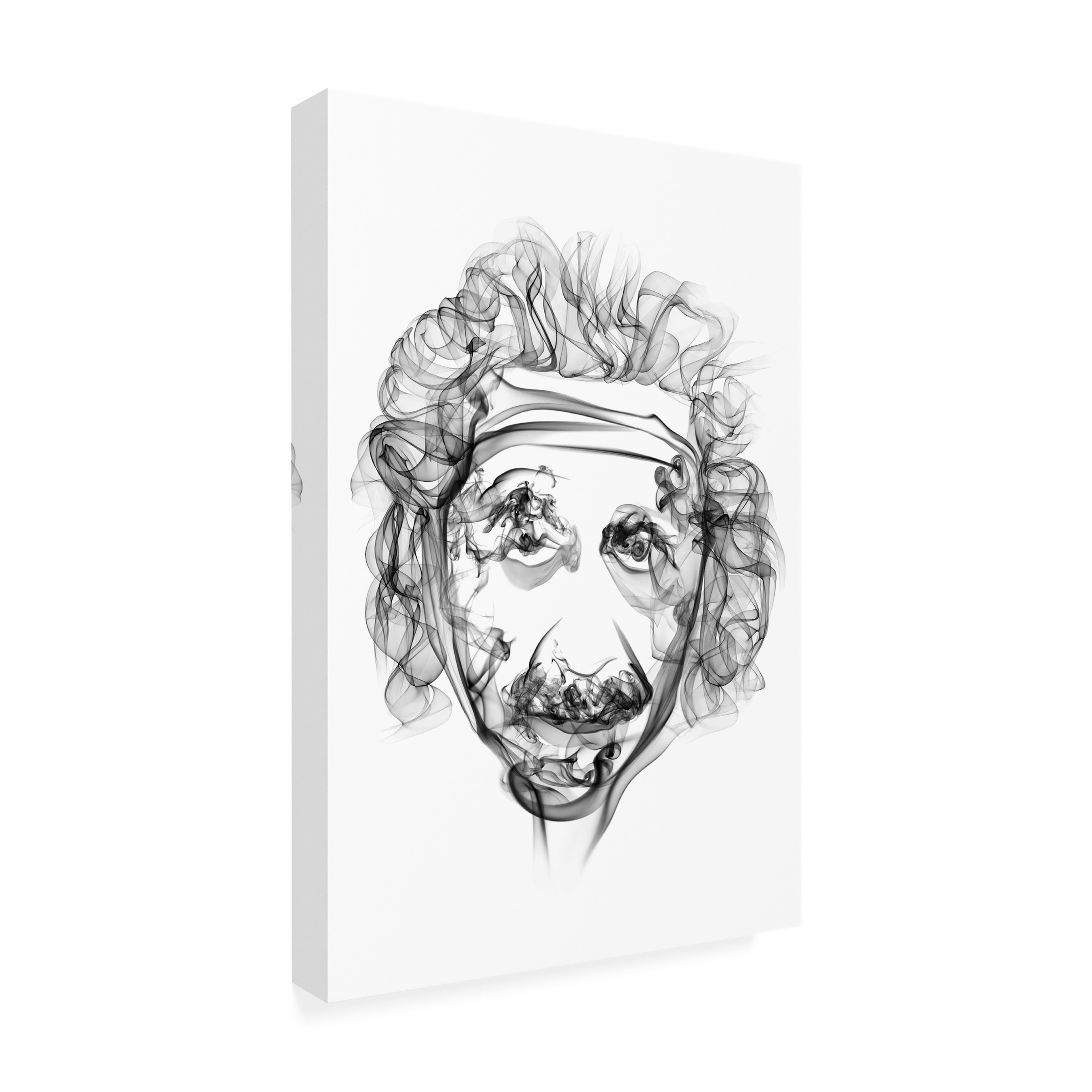 Trademark Fine Art 'Einstein' Canvas Art by Octavian Mielu