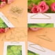 thumbnail image 2 of Clips de papel ANGGREK 12 piezas Acero inoxidable, 2 of 8