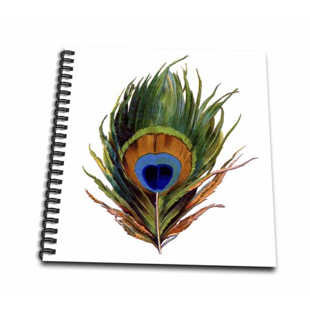 3dRose Large Colorful Peacock Feather - Memory Book, 12 by 12-inch