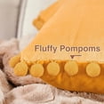 thumbnail image 4 of Top Finel Fundas de almohada decorativas de 18 x 18, juego de 2 fundas de almohada de terciopelo suave para sofá, fundas de cojín bohemias de granja para dormitorio, 4 of 5