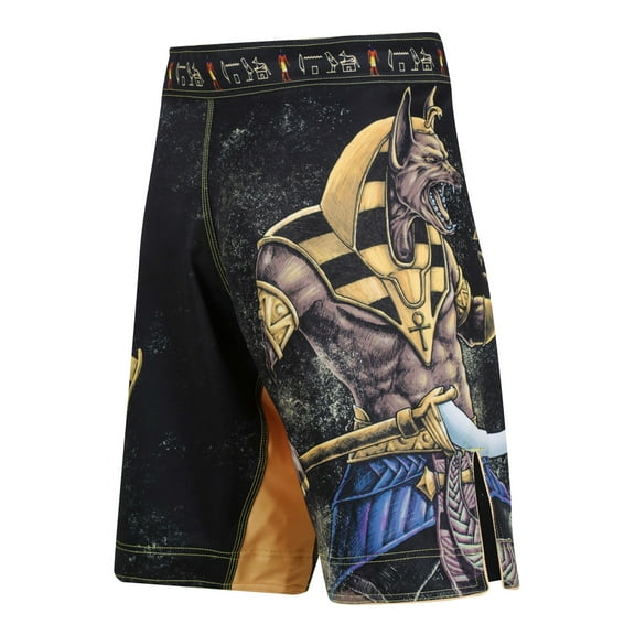 Raven Fightwear Men's Anubis MMA Shorts BJJ Black/Black