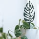 thumbnail image 3 of 5 soportes para plantas trepadoras, enrejados para jardín con forma encantadora., 3 of 8