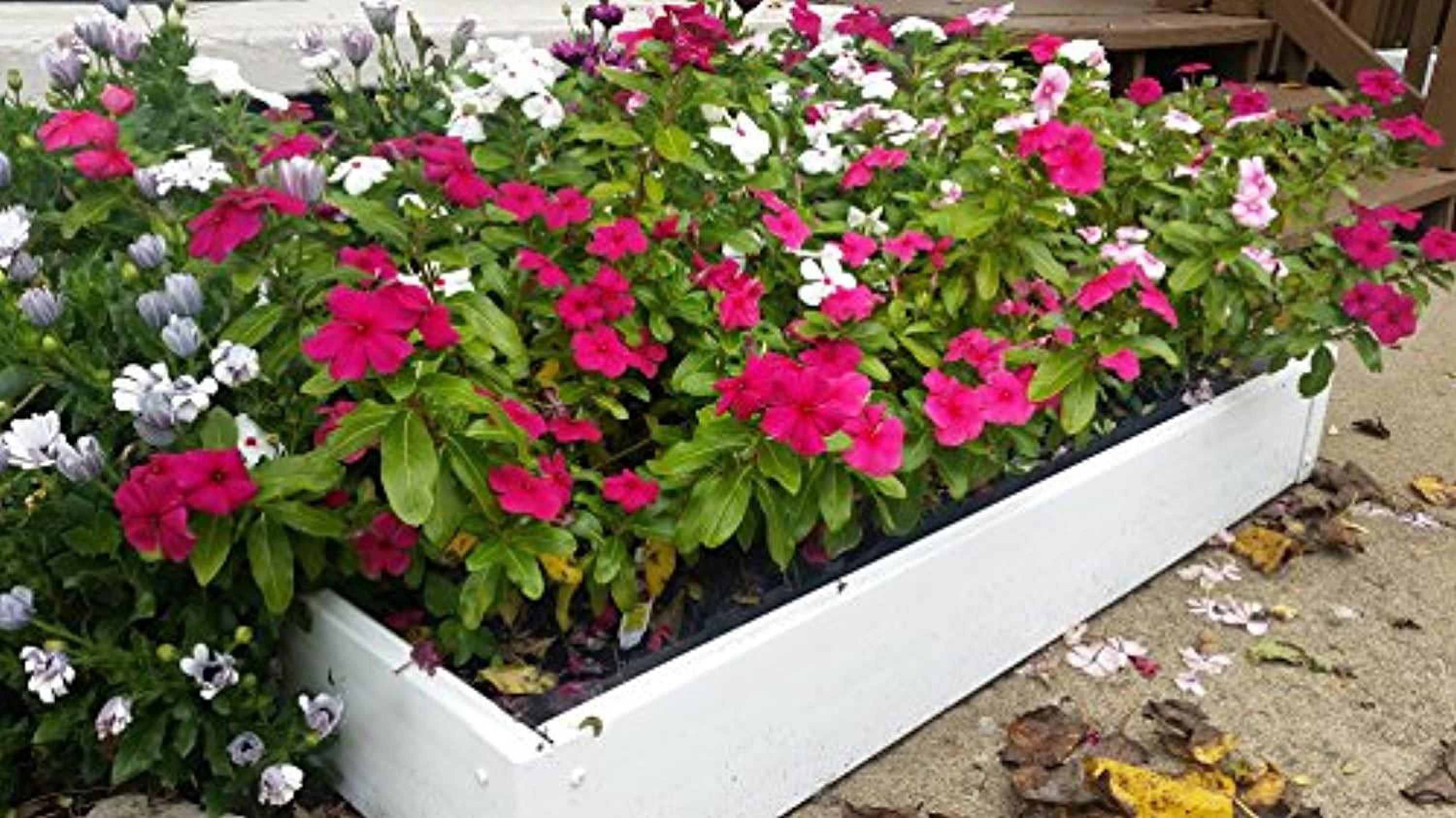 Handy Bed  3 x 4 ft. Vinyl Raised Garden Bed