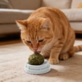thumbnail image 4 of Interactive Cat Chew Ball Toy with Natural Catnip, Rolling Wobble Pet Teething Toy, Teeth Cleaning Plaything for Indoor Cats, Boredom Relief Cat Enrichment Toy, 4 of 4