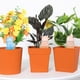 thumbnail image 5 of 4 Uds. Dispositivos de globos con puntas de autorriego, bebedero para plantas, jardinera, riego por goteo automático, estacas de agua para interiores y exteriores, 5 of 5
