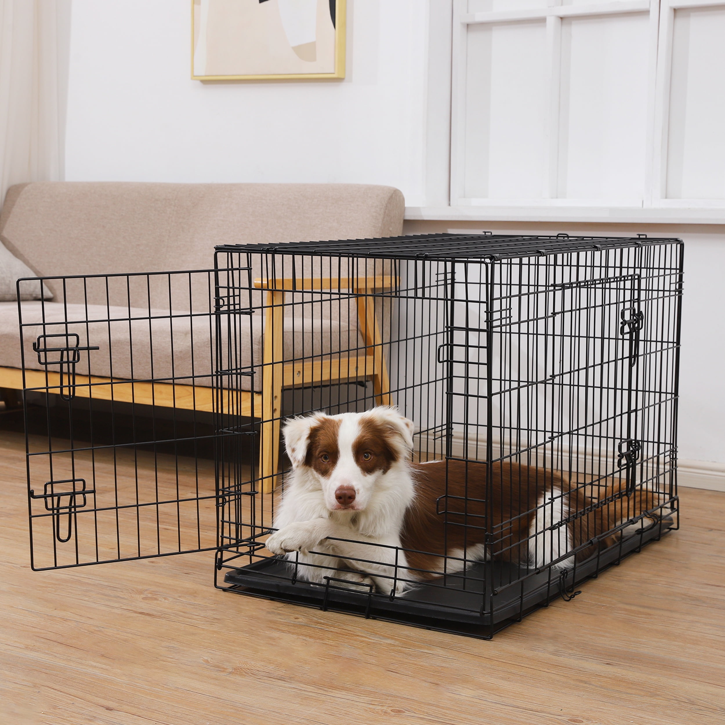 Max & Marlow Double-Door Dog Crate, Foldable Metal Wire Kennel, Portable, Tray and Divider Included, 24" x 17.5" x 20"