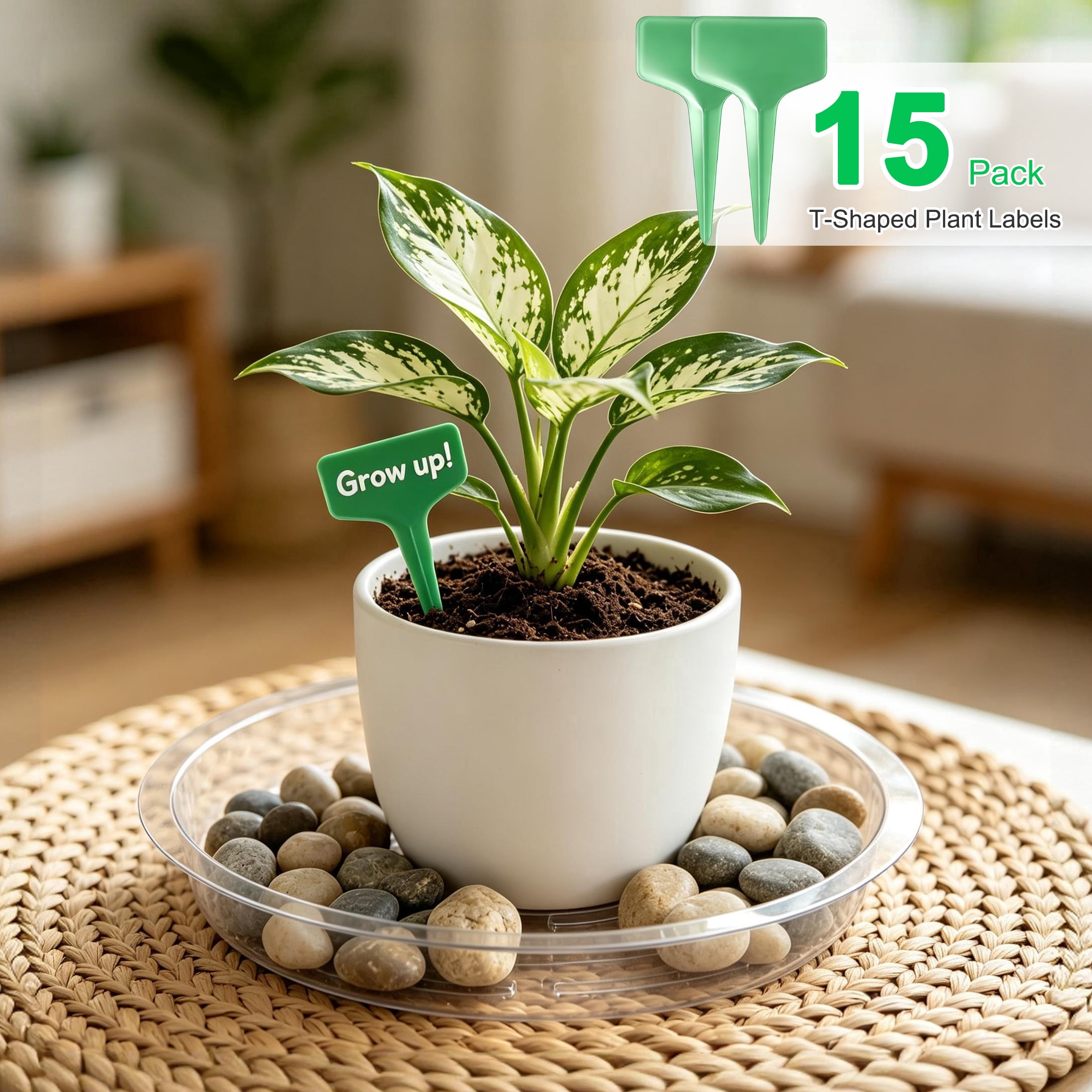 15 Pack Clear Plant Saucers, 6 8 10 Inch Plastic Flower Pot Saucers with Plant Labels, Heavy Duty Plant Drip Trays with Anti‑Slip Ridges, Plant Pot Saucer for Indoor Outdoor Pots