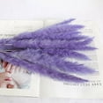 thumbnail image 2 of 30PCS Pampas Grass, 17.7" Small Dried Pampas Grass Decor Pompass Grass Branches for Boho Home Wedding Flower Arrangements Party Decor, 2 of 8
