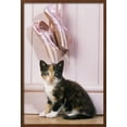 thumbnail image 2 of Tortoiseshell Cat Kitten with Ballet Shoes, Animals Figurative Framed Art Print Wall Art Sold by Art.Com, 2 of 6