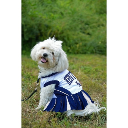 Pets First College Kentucky Wildcats Cheerleader, 3 Sizes Pet Dress Available. Licensed Dog Outfit