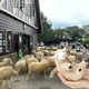 thumbnail image 2 of Furvana Shaved Sheep Stuffed Animal, Sheep Plush Toy, Cute Plushie for Girls, Sleeping Pet Buddy, Lamb Stuffed Animal Best Birthday Gifts for Women Boys Teens, Small Plush Toy, 2 of 5