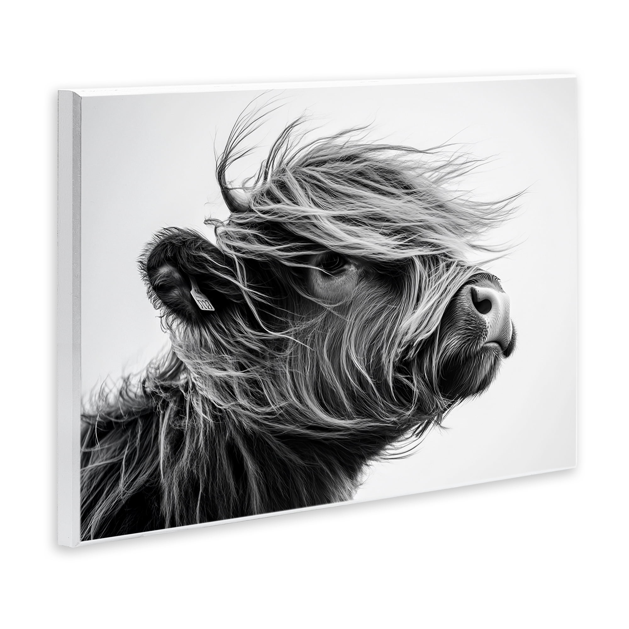 Stupell Industries Handsome Highland Portrait Wall Plaque Art, design by Tina LeCour
