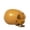 Brown-5D Home Decor, variant on JJV Wind-Up Surprise Hatching Eggs, Cute Animal Boom Eggs, Rotate the Egg to Hatch a Walking Animal, Clockwork Mechanical Reusable Fun Toys Toys Age 6-8