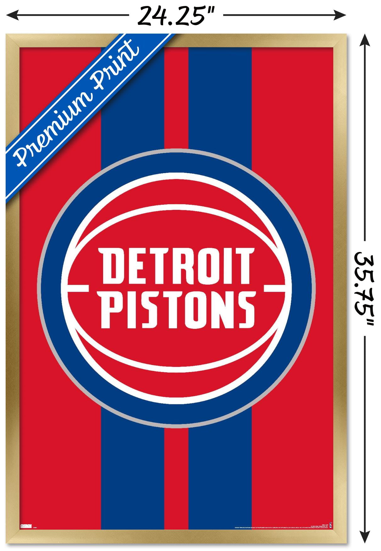 NBA Detroit Pistons - Logo 20 Wall Poster, 22.375" x 34", Framed