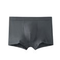 thumbnail image 2 of FJUCHAI Active Men Soft Quick-Dry Boxer Briefs Stretch Underwear Lightweight Comfort Workout Running L-3XL, 2 of 7
