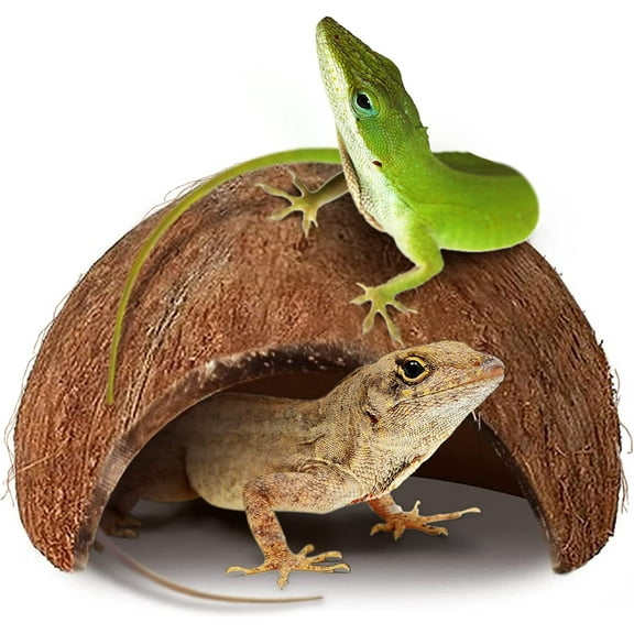 Cherryhome Habitat Hideout Reptile, Lizard, Spider, Aquarium, Fish Hide Cave Hermit Crabs, Hamsters Natural Coco Hut Organic Non-Toxic Aquarium Decoration