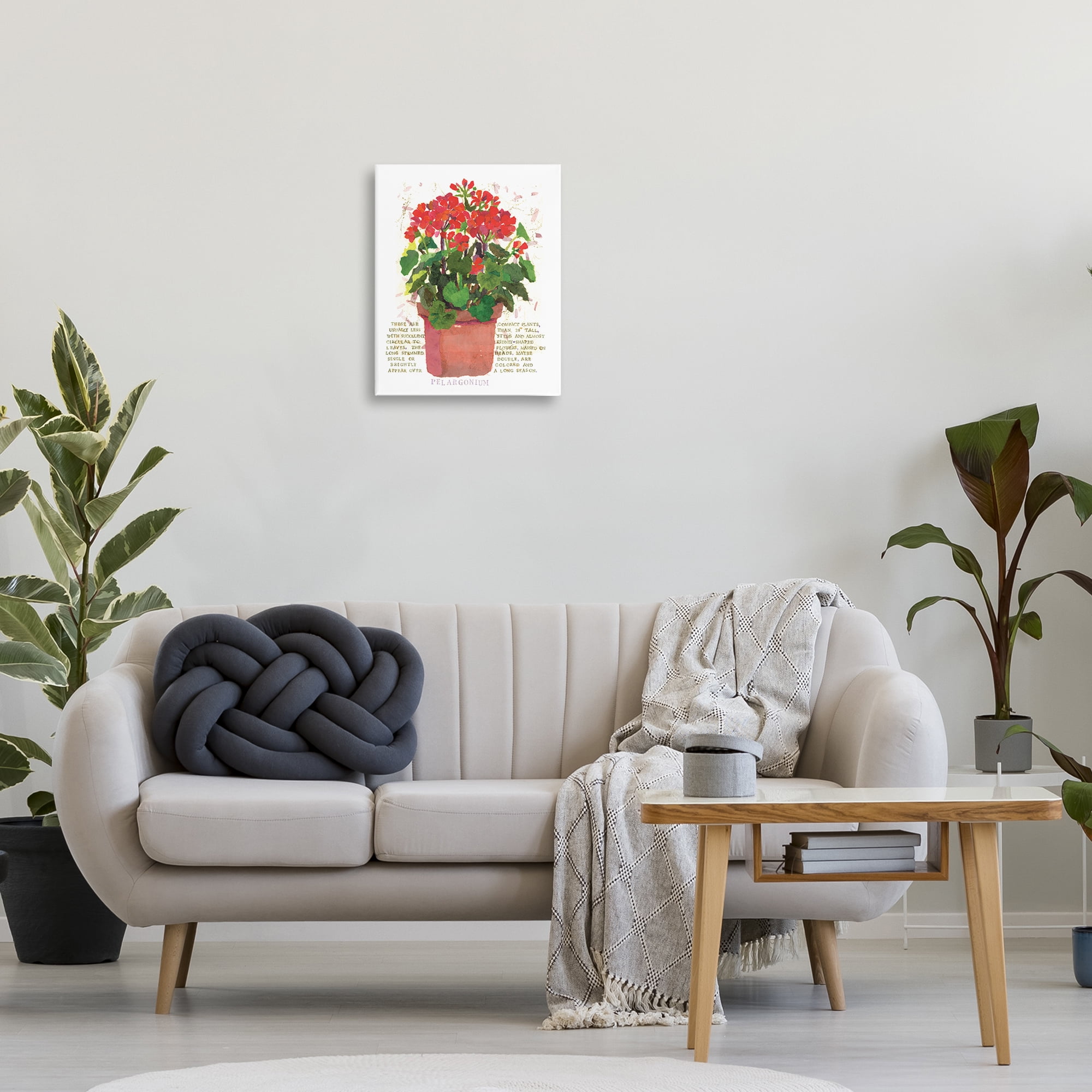 Stupell Industries Red Potted Geranium Botanical & Floral Painting Gallery Wrapped Canvas Art Print Wall Art, 16 x 20