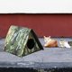 thumbnail image 1 of Refugio para mascotas al aire libre, cama para dormir para mascotas, perrera para gatos, refugio plegable desmontable para gatos callejeros, casa para Verde S, 1 of 8