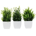 thumbnail image 3 of WORGEOUS 3 piezas pequeñas plantas falsas plantas mini artificiales con plantas Ministerio del hogar Planta Fake en maceta Estilo mixto, 3 of 8