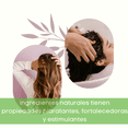 thumbnail image 4 of PocketCare Shampoo para pelo orgánico, artesanal de pulpa de sábila, romero y nutrientes naturales, regenerador, Prevención caída e Hidratación 325 ml (Kit Shampoo + Refill, Aloe Vera), 4 of 9