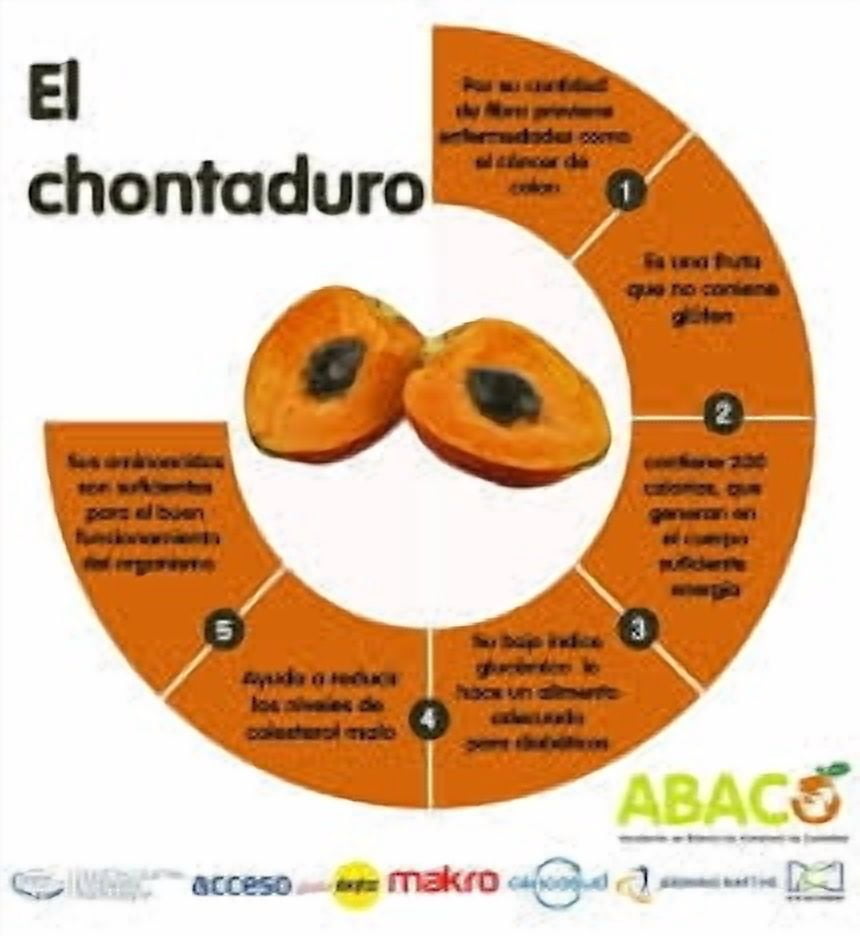 Peach Palm Super Fruit in Brine Chontaduro en Salmuera 480g - Imported from Colombia