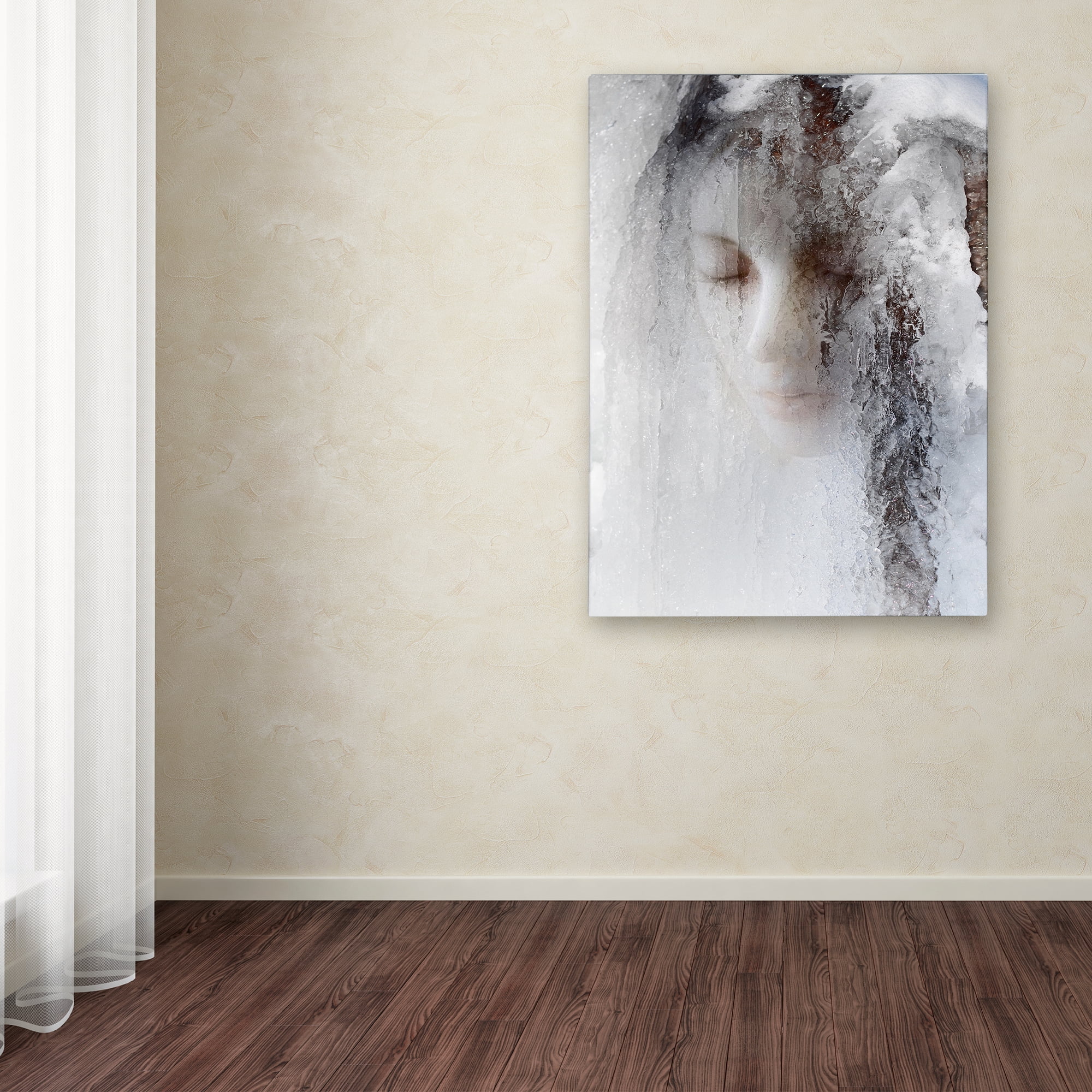 Trademark Fine Art 'Ice Queen' Canvas Art by Jeffrey Hummel