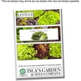 thumbnail image 6 of Freckles Romaine Lettuce Seeds, 1000 Heirloom Seeds Per Packet, Non GMO Seeds, 6 of 8