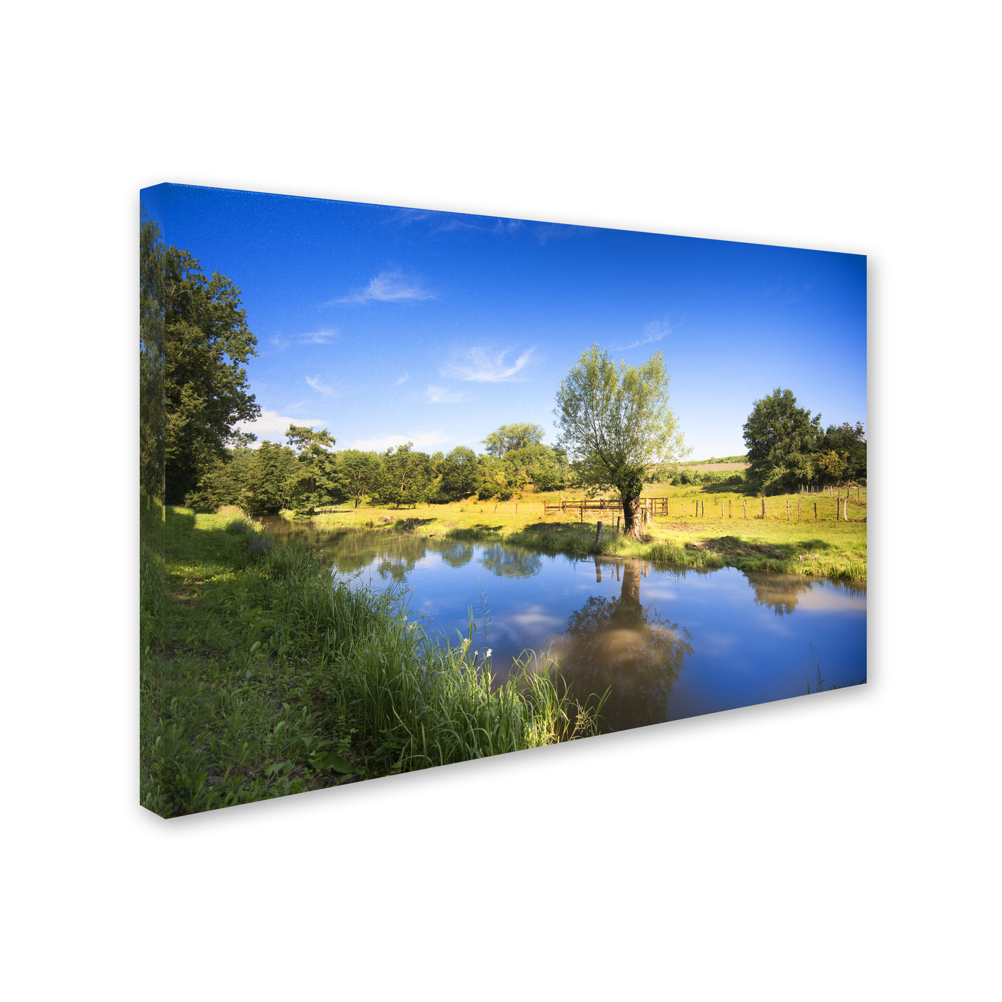 Trademark Fine Art "Blue Brook" Canvas Art by Philippe Sainte-Laudy
