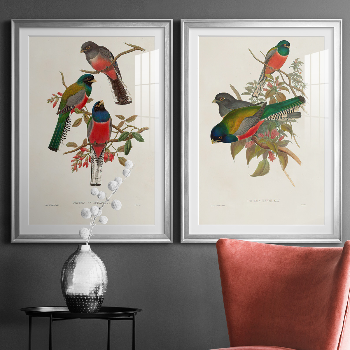 Wexford Home Elegant Trogons IX Premium Framed Print, 30.5" x 42.5" - Ready to Hang, Silver (Set of 2)