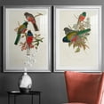 thumbnail image 5 of Wexford Home Elegant Trogons IX Premium Framed Print, 26.5" x 36.5" - Ready to Hang, Silver (Set of 2), 5 of 9