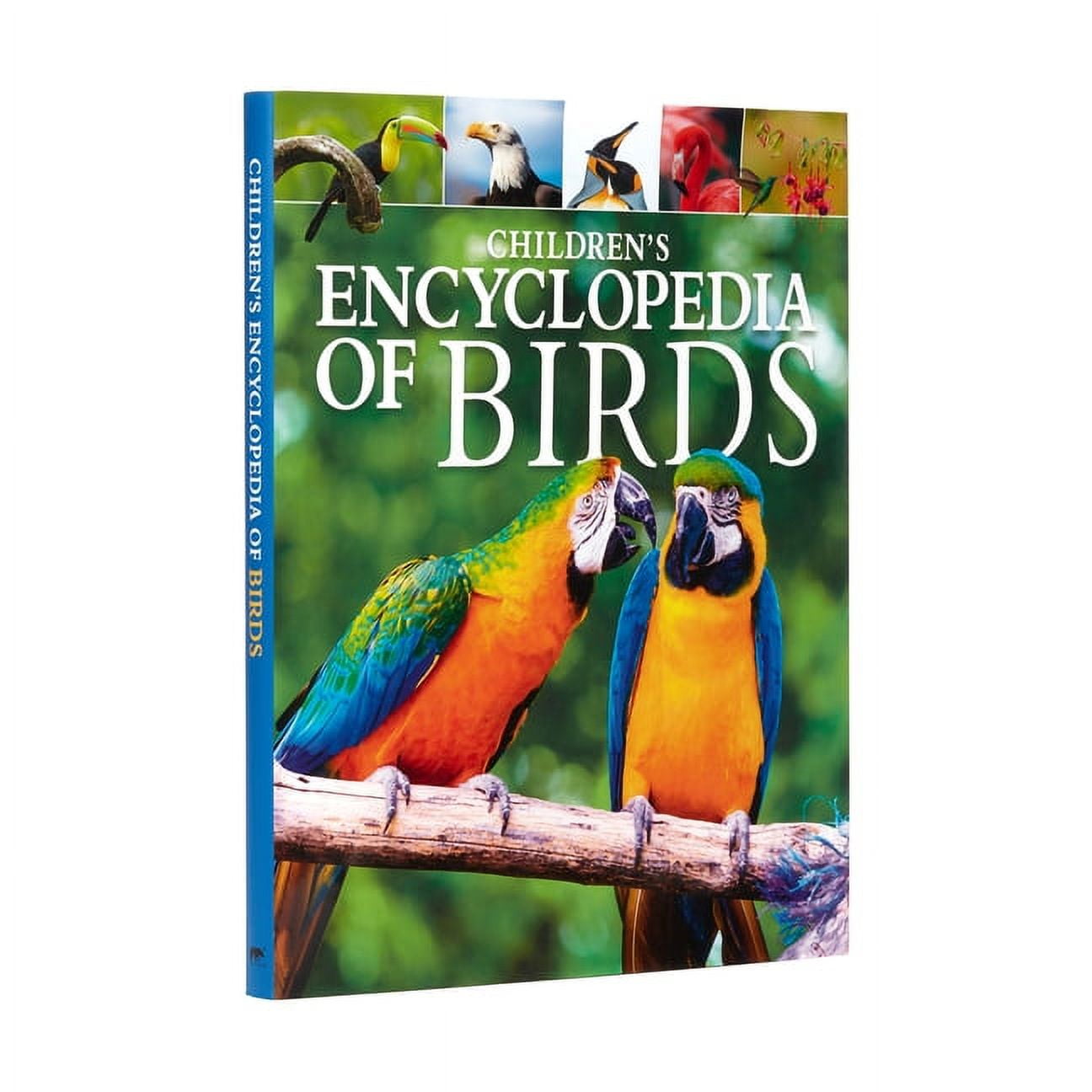 Peterson Field Guides: Young Naturalists: Backyard Birds (1st  Edition)(Paperback) - Walmart.com, image size:1296x1296