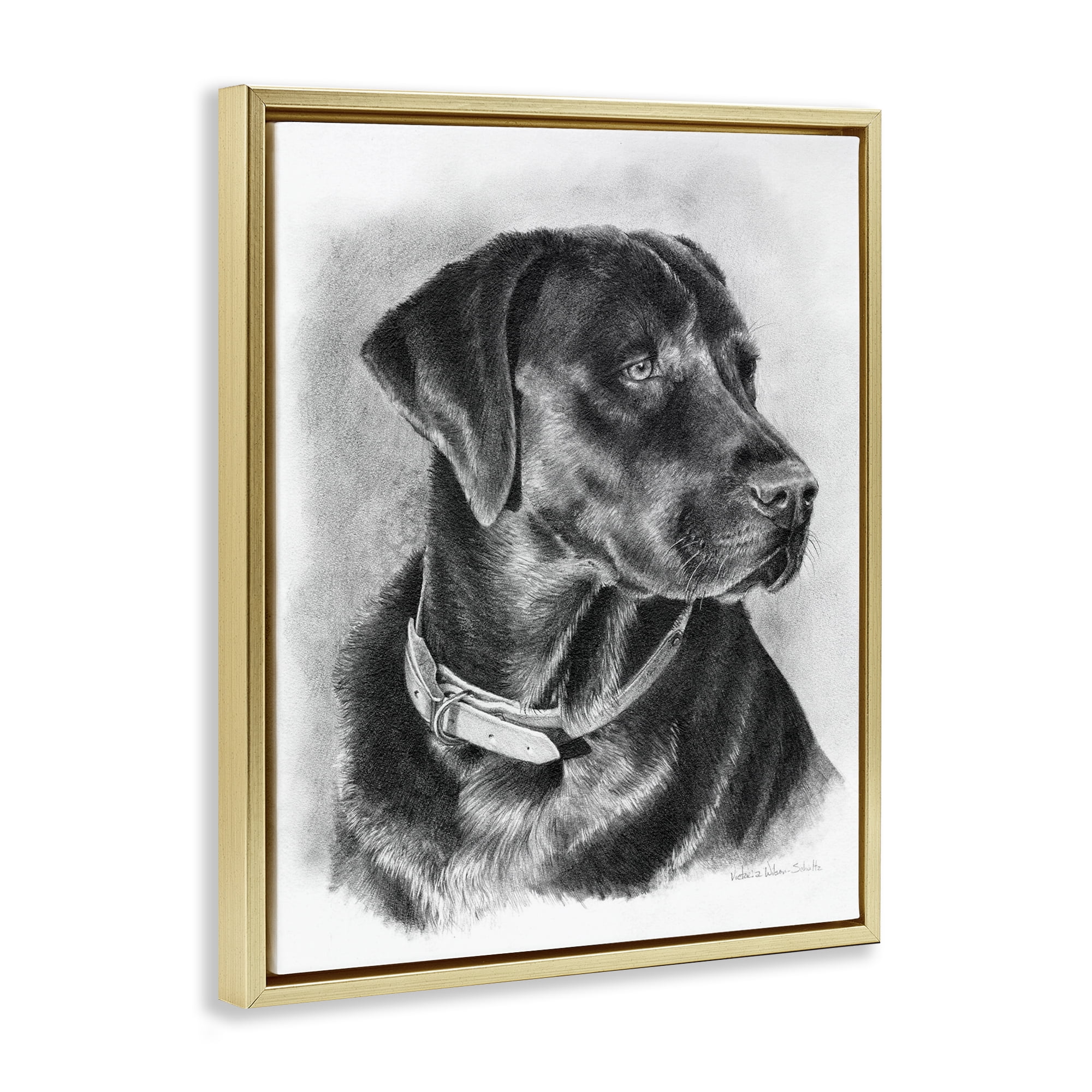 Stupell Industries Black Lab Drawing Animals & Insects Drawing Gold Floater Framed Canvas Art Print Wall Art, 25 x 31