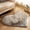 Gray, variant on Heart Shaped Soft Faux Sheepskin Fur Area Rugs for Home Sofa Floor Mat Plush, 16 x 12 inch