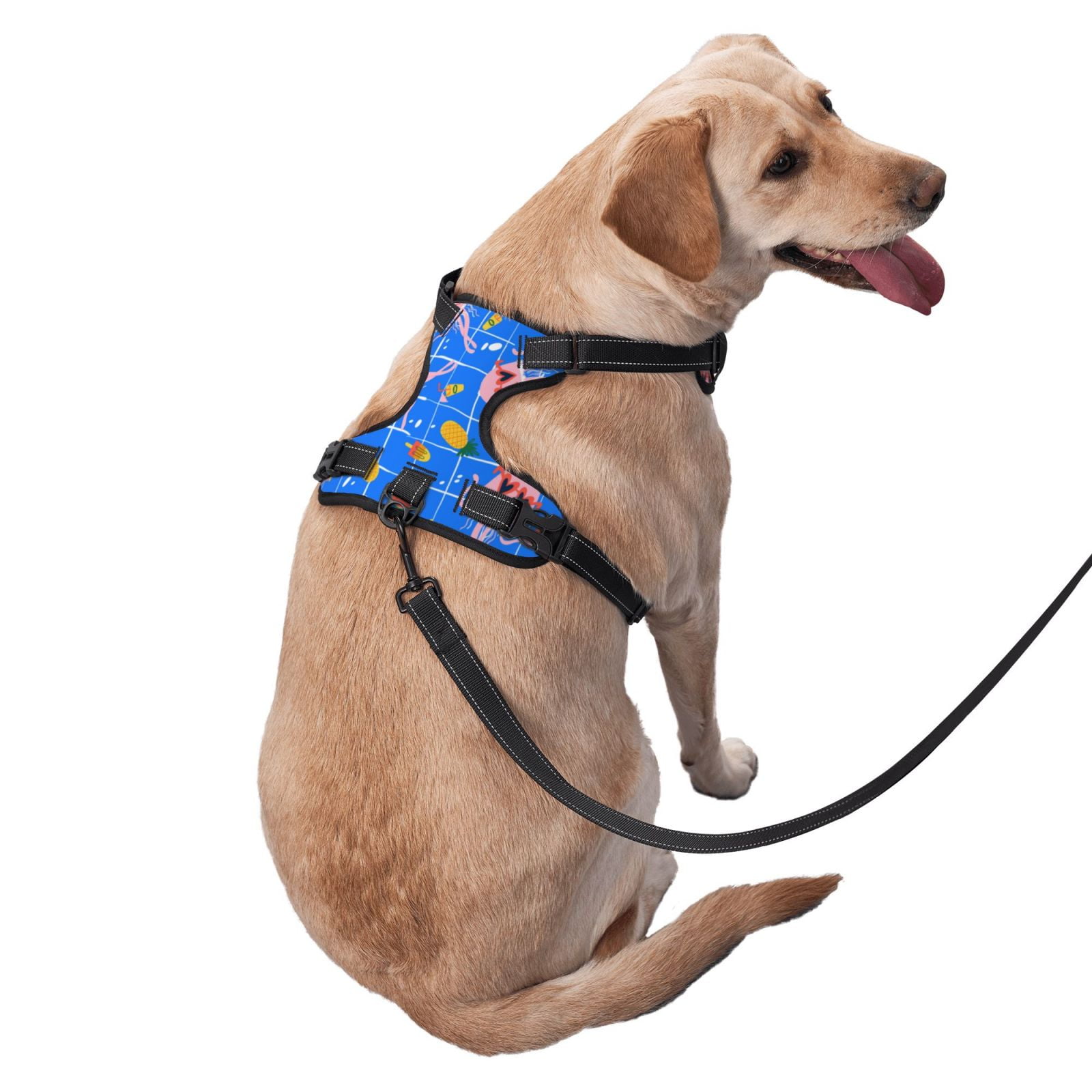 Vsdgher Tropical Jellyfishes Pattern Dog Harness,No Pull Pet Harness with Soft Padded Handle,Adjustable Reflective Vest with 2 Buckles,4 Slide Buckles,S-XL Large