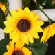 thumbnail image 3 of Girasol Enredadera Artificial con Flores decoración Manualidades hogar, Boda, Fiesta, jardín, 3 of 4