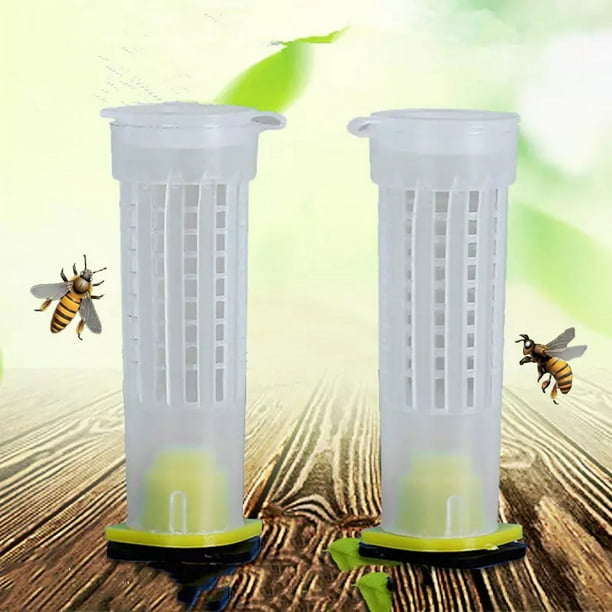Herramientas De Apicultura, Kit De Tazas De Células De Abejas, Sistema