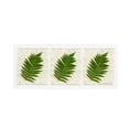 thumbnail image 2 of Trademark Art 'Ferns Finish' Canvas Art by Kathie McCurdy, 2 of 4