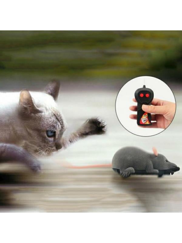 remote control mouse cat toy walmart