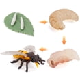 thumbnail image 1 of Modelo De Ciclo De Crecimiento, Modelo De Ciclo De Vida Realista, Modelos De Animales, Juguetes De Imaginación Infantil, Herramienta De Enseñanza Y Aprendizaje Serendint FN007105-06, 1 of 6