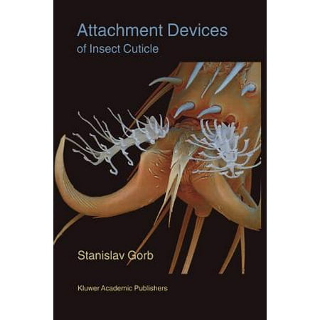 Attachment Devices Of Insect Cuticle Walmart Com