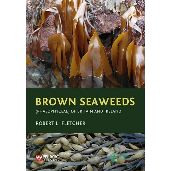 Brown Seaweeds (Phaeophyceae) of Britain and Ireland (Hardcover)