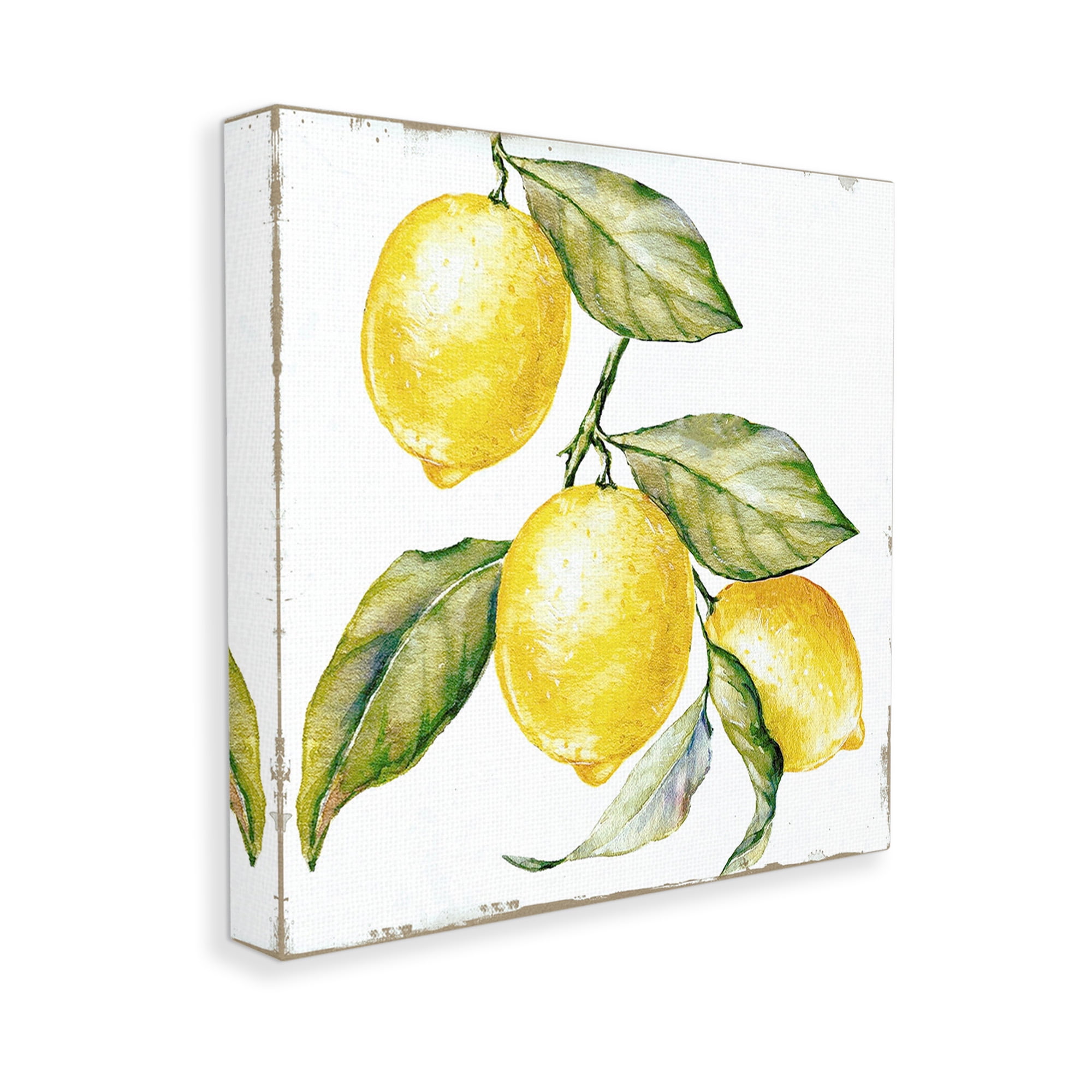 Stupell Industries Rustic Citrus Fruits Food & Beverage Painting Gallery Wrapped Canvas Art Print Wall Art, 17 x 17