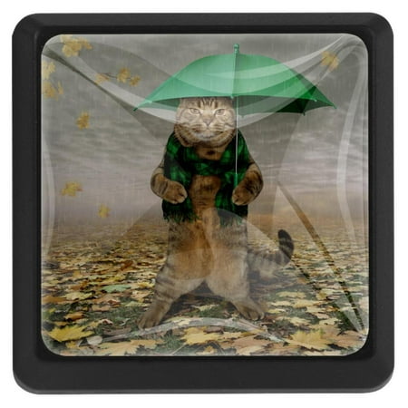 

Ownta Square with Screws 3 Pcs for Cupboard Dressing Table Bookcase Drawer Pull Handle Cabinet Door Knobs Funny Cat