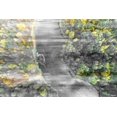 thumbnail image 2 of "River Run" Painting Print on Wrapped Canvas, 2 of 7